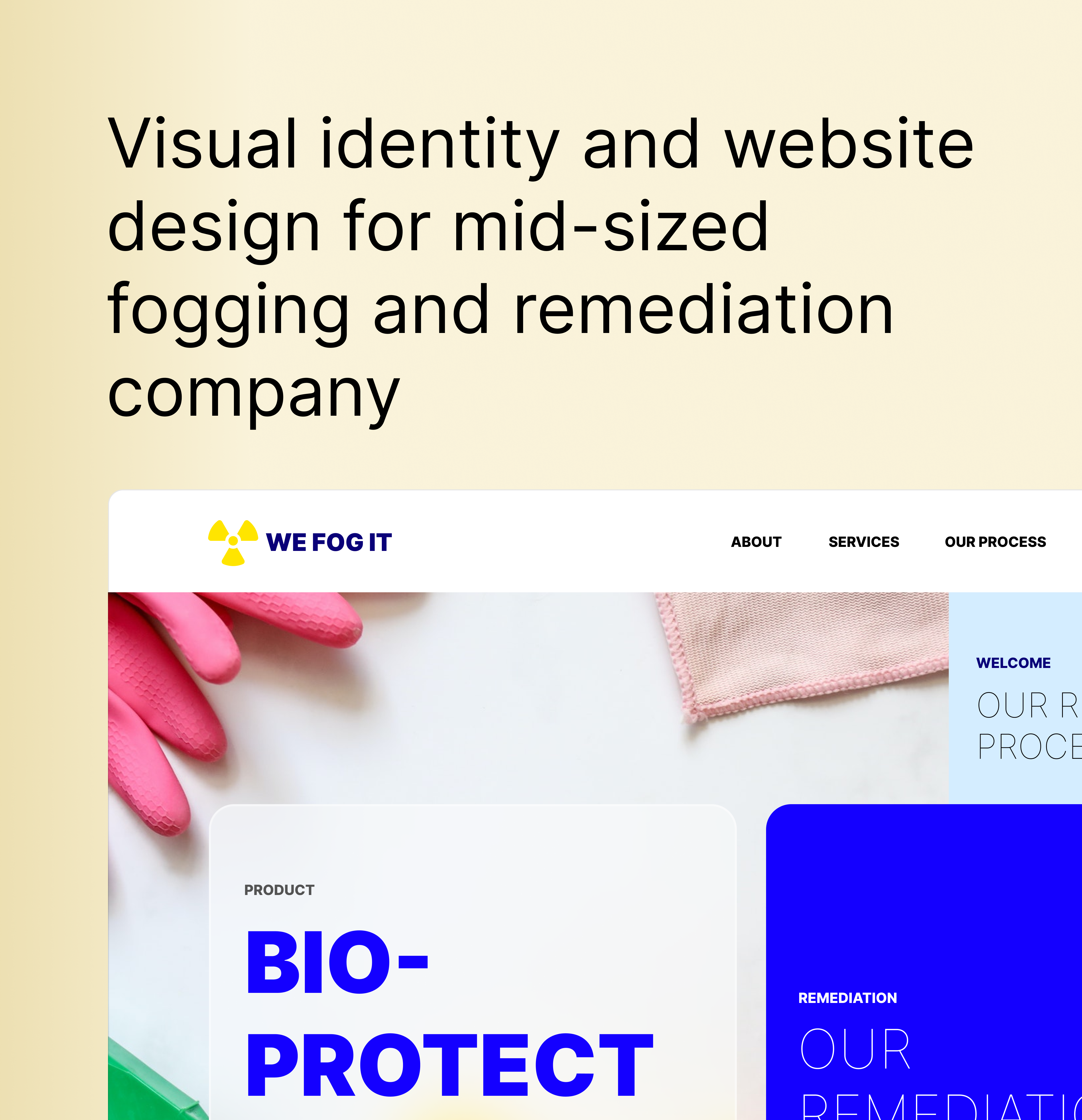 We Fog It needed an overhaul of their web presence.